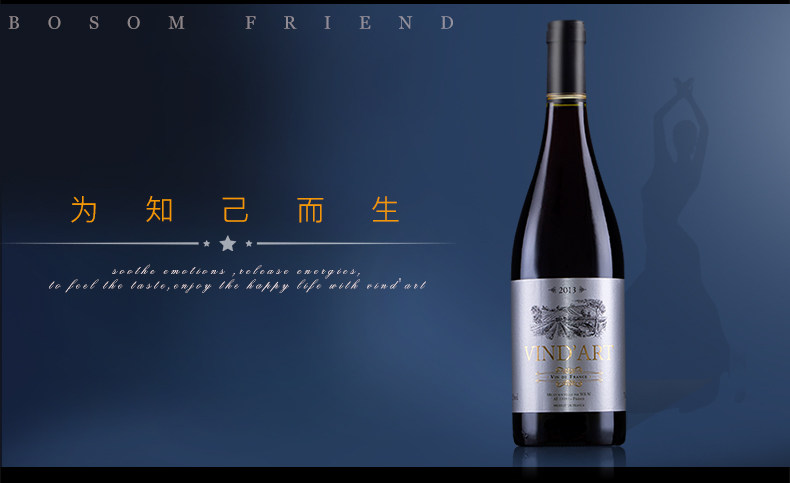 法国原瓶进口 威娜德 Vin dArt 2013年份 干红葡萄酒 750ml*6支 图5