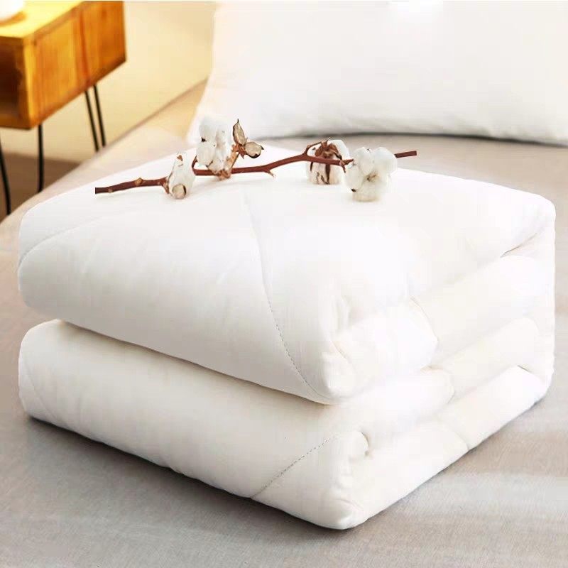 Ward quilt Cotton down duvet core 1.5 bedding nursing home hospital futon autumn winter single thickening