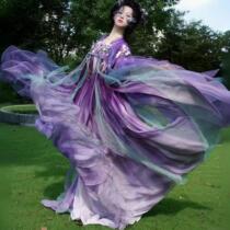 Deposit Zisong Oriental Aesthetic Garden Tour Iris Heavy Industry Embroidered Myrobalan Skirt Hanfu Large Sleeves