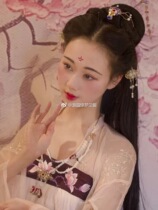 Zixong Oriental aesthetic design shadow Jinghong Garden Dream Hanfu Qi chest skirt Hanfu customization