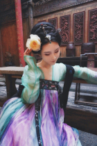 Zixong Oriental aesthetics Garden dream Hanfu Silk embroidered Hanfu Qi chest skirt Acacia scale