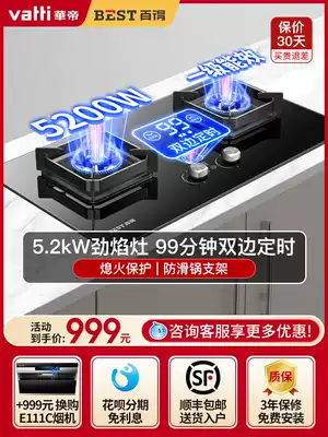 Vantage Bade QE61 household fire timing embedded double-Port gas stove gas stove gas stove gas liquefied gas