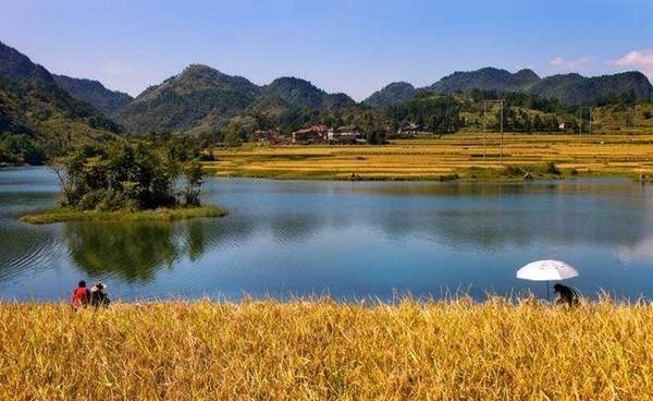 过了寒露鲫鱼在这些地方扎堆,位置要选好