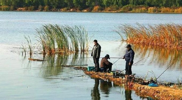 记住以下三方面，你也可以轻松运用浮漂了27