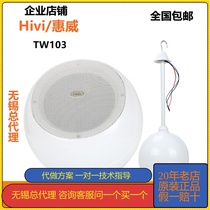 Hivi 惠威 TW103吊球音响咖啡厅背景音乐吊挂音箱定压悬挂式喇叭