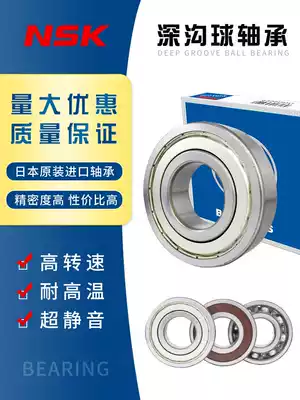 Imported NSK bearings 6007 6008 6009 6010 6011 6012 6013 6014 6015ZZ RS