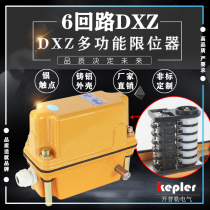 DXZ-6 F multi-function stroke limiter tower crane rotary safety switch 6 loop non-standard 1 6 1:120