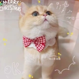 Шарф, галстук-бабочка, чокер, нагрудник, трикотажный слюнявчик, милый декор