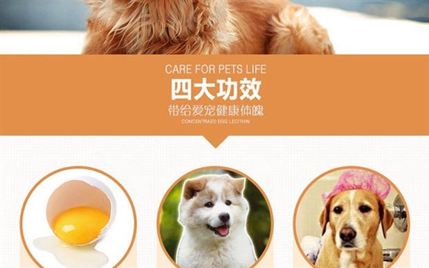 Pocci Net Pet Dinh dưỡng Wiscon Egg Lòng đỏ Lòng bàn tay hạt lựu 300g Bổ sung dinh dưỡng cho mèo và chó sữa precaten