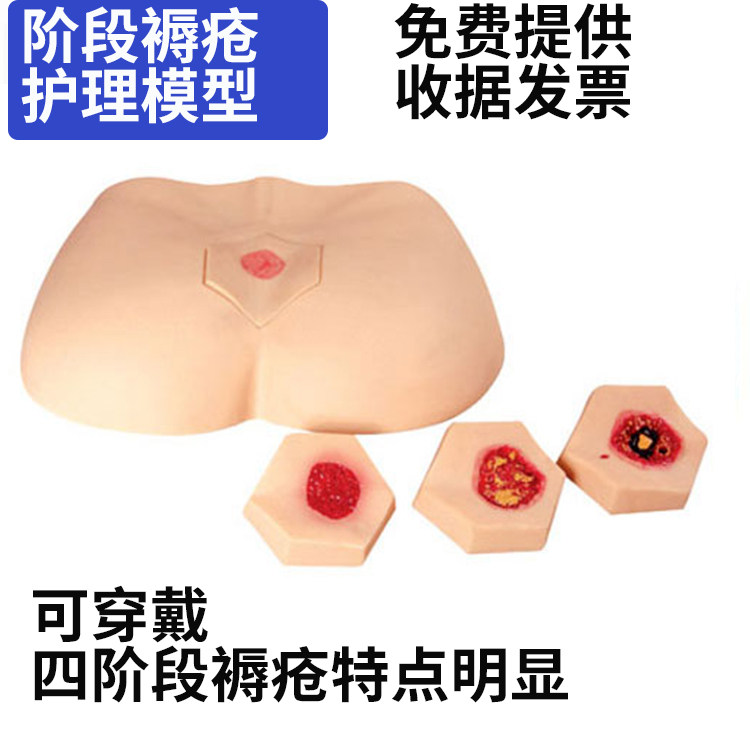 养老护理实训室教学模型医学用阶段褥疮护理模型压疮护理训练模具