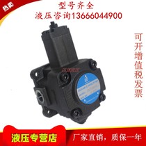 Northman northern fine motor variable vane pump VPVC-F30 40 20 12 12 15-A1 A3 A2-02