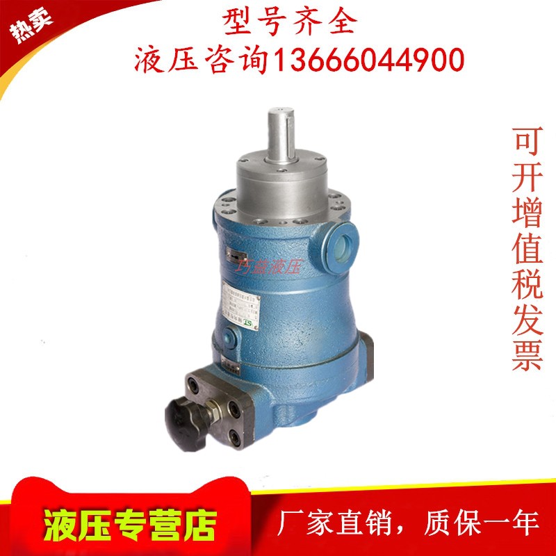 Nantong Dingyuan 10 16 25 40 63 80 100 160 250SCY14-1B oil pump axial piston pump