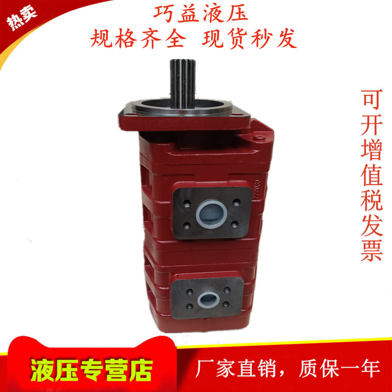 Jinanquancheng Cbgj2032/2032 Cbgj2040/2040 Cbgj050/2050 Double Oil Gear Pump