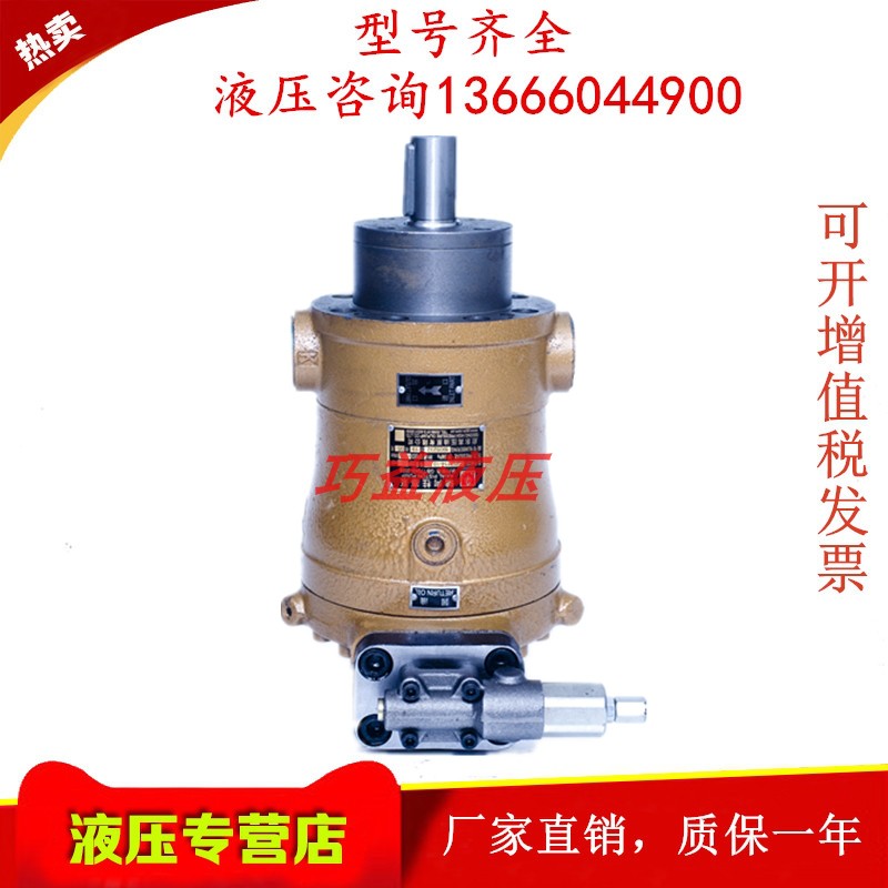 The Qidong high-pressure Seiko 10 25 40 63 63 80100108160 250PCY14-1B axial plunger pump