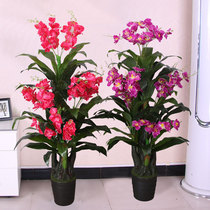 Simulation plastic silk flower fake flower Phalaenopsis room decoration Living room large floor decoration Green plant fake tree bonsai plant