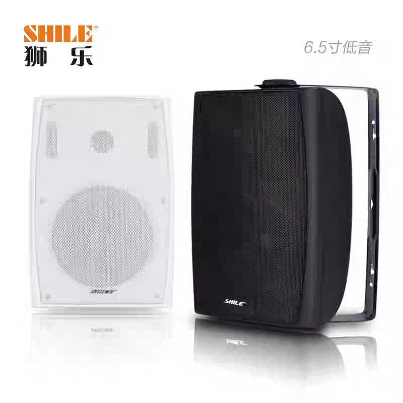 Lion Music BX105 102 high fidelity school office building public broadcasting speaker Wall-mounted conference room speaker