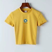 Джинджер маленькая ромашка 1