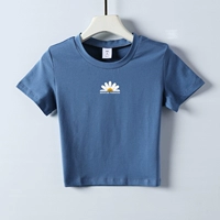 Haze Blue Little Daisy 4