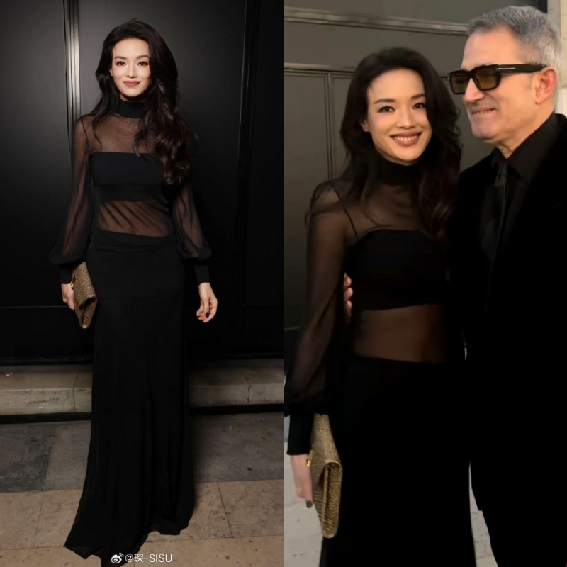 Shu Qi's Same Style Black Sexy Slim-Fit Mesh See-Through Long-Sleeve Dress for Women, 2026 Summer New Slimming European and American Style