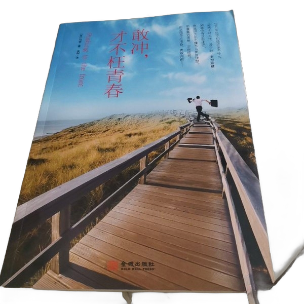 Authentic Books | Dare to Go for It, or Regret Your Youth (by) Madden; Jin Shu