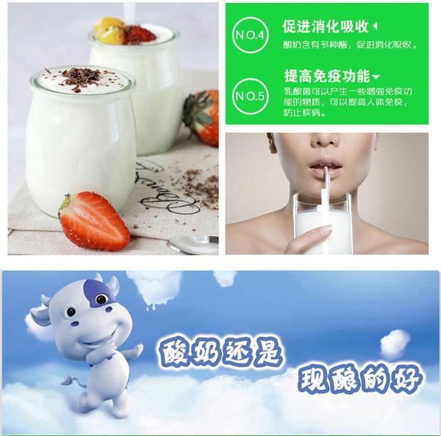 máy làm sữa chua chefman 8 cốc thủy tinh Máy làm sữa chua thương mại với tủ lạnh lên men tự động một máy làm sữa chua lớn nhỏ cũ sưởi ấm tiệt trùng tủ ủ - Sản xuất sữa chua máy làm sữa chua kangaroo