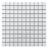 Слава белая