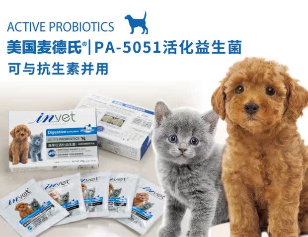 Med invet dog men mèo cưng mèo Teddy với sản phẩm chăm sóc sức khỏe dạ dày nôn mửa sữa cho mèo con 3 tuần tuổi