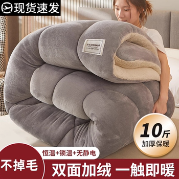 Lamb Wool Quilt, Winter Quilt, Thickened and Warm, Winter Dormitory Single Student Winter Space Quilt Core