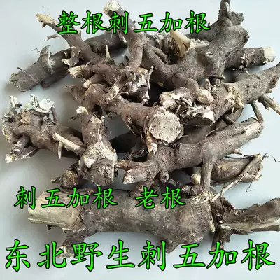 Northeast Acanthopanax root Acanthopanax stick root Acanthopanax Acanthopanax root Whole large root 500g