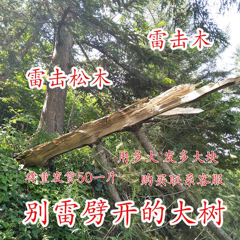 Natural Lightning Strike Wood Lightning Strike Wood Thunder in Tohoku Mountains Thunder Wood Lightning Strike Logs Pine Wood 500 gr