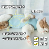 Одежда для стерилизации кошек, хирургическая одежда для кошек, тонкая одежда для отъема, летняя дышащая, послеоперационная защитная одежда для кошек, не вылизывающая и не линяющая