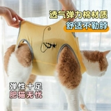 Одежда для стерилизации кошек, хирургическая одежда для кошек, тонкая одежда для отъема, летняя дышащая, послеоперационная защитная одежда для кошек, не вылизывающая и не линяющая