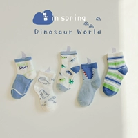 1118 Dinosaur World.com Носки глаз