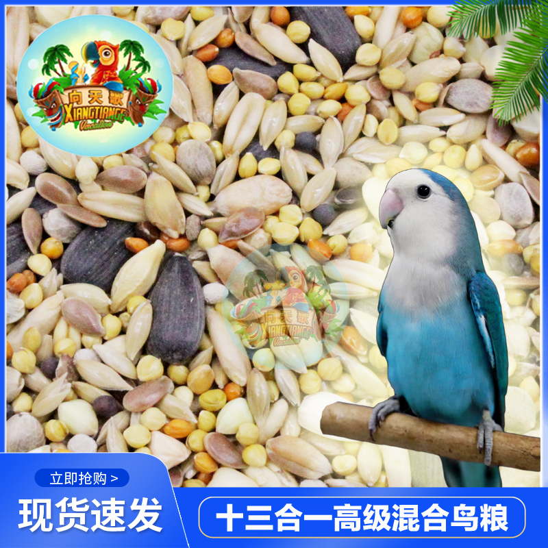 New parrot-like nutritious grain thirteen all-in-one mixed food tiger Picasso Peony Peony Bird Feed 5 catty bags
