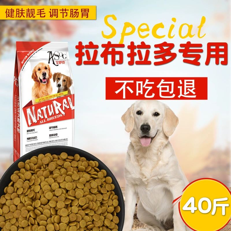 Thức ăn cho chó Labrador chuyên dụng 20kg Chó cỡ trung bình Chó trưởng thành Chó con 40kg Hương vị thịt bò Làm đẹp tóc Canxi tự nhiên - Chó Staples