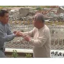 Wei Shuman Yangs Taijiquan Rubbing Hands (Pushing Hands) 1VCD