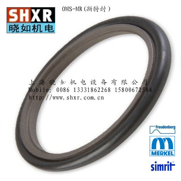 OMS-MR190X205 1X6 3 24223168 Germany MERKEL Seal ring Simrit CFW