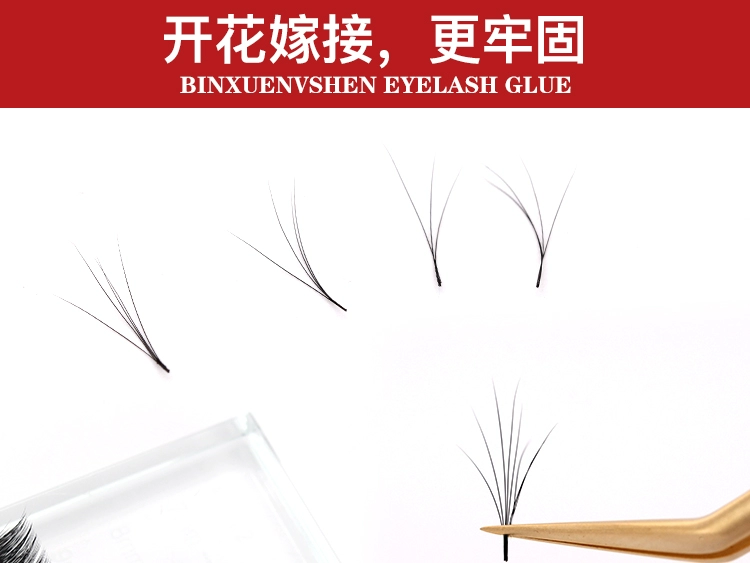 Ghép lông nhíp Nhíp lông mi Đặc biệt độ chính xác cao Cặp lông vàng Cá heo clip Trồng hoa Dụng cụ chống tĩnh điện - Các công cụ làm đẹp khác mi giả 3d