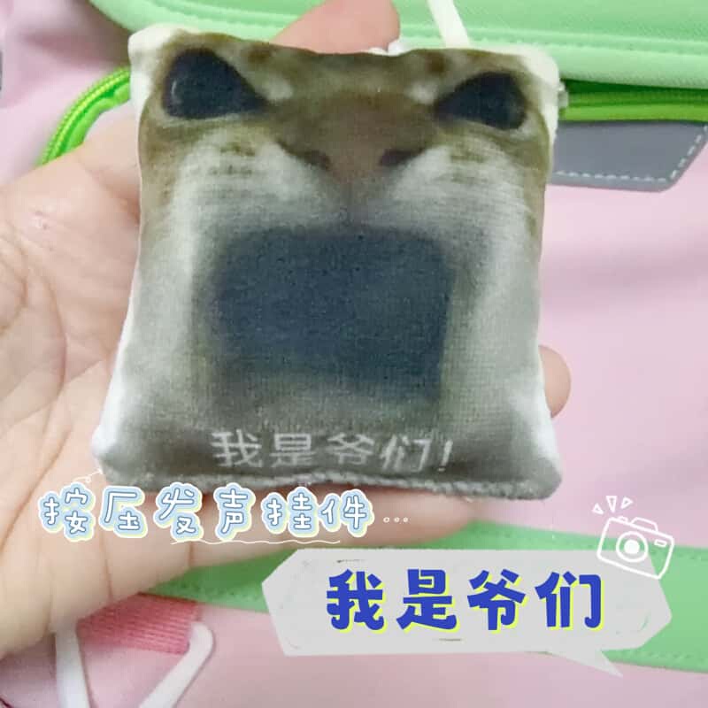 Internet Celebrity Funny "I'M a Man" Cat Voice Keychain, Press-To-Speak Pendant, Student Backpack Decoration, Small Toy