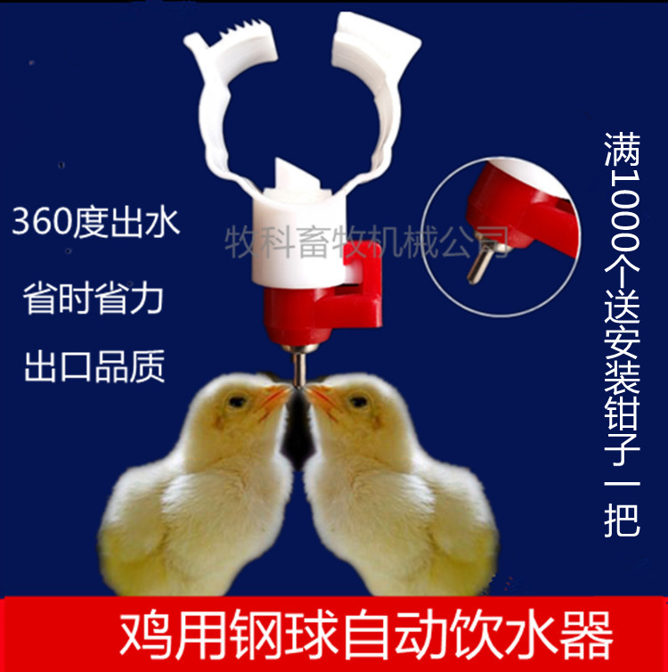 Chicken with automatic water drinker clamping nipple assembly and seat chicken with drinking water nozzle sink livestock supplies