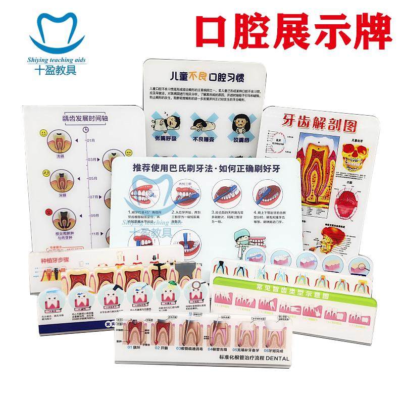 口腔医患沟通工具牙科摆台挂图根管治疗流程摆台窝沟封闭流程展示