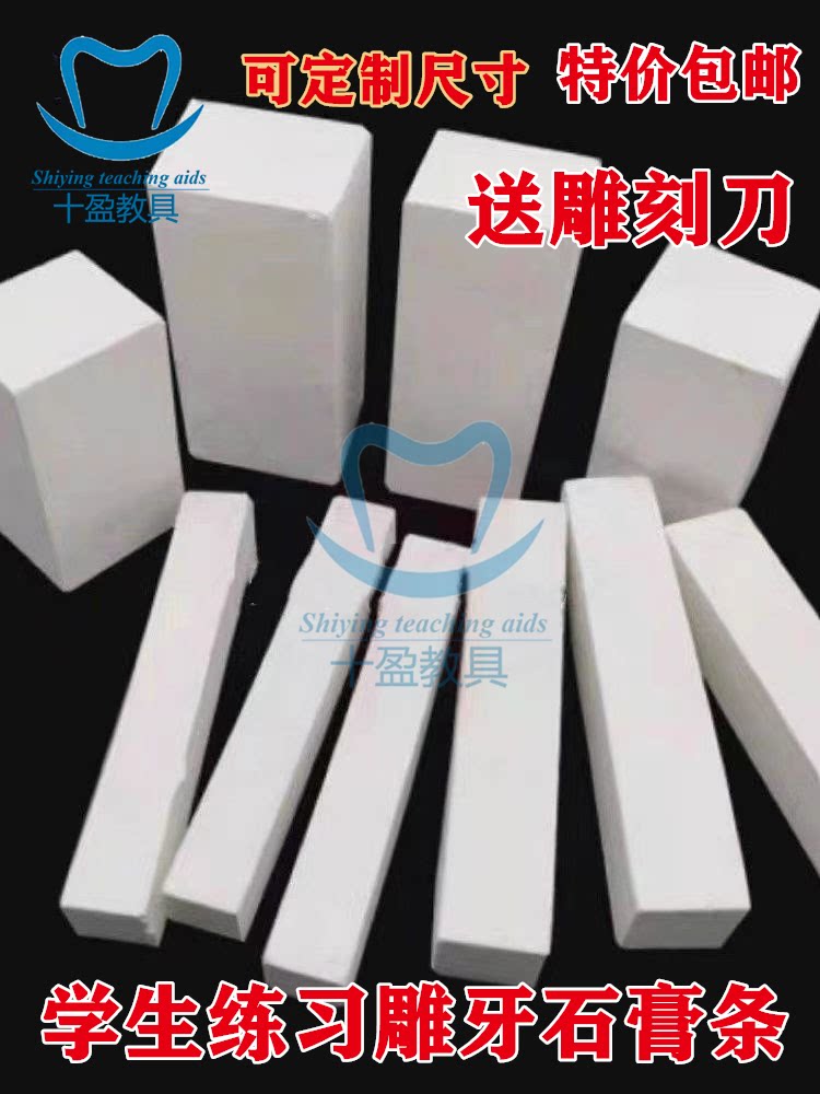 口腔雕牙石膏练习块 练习雕刻牙齿 雕牙石膏条学生练习雕刻牙齿形