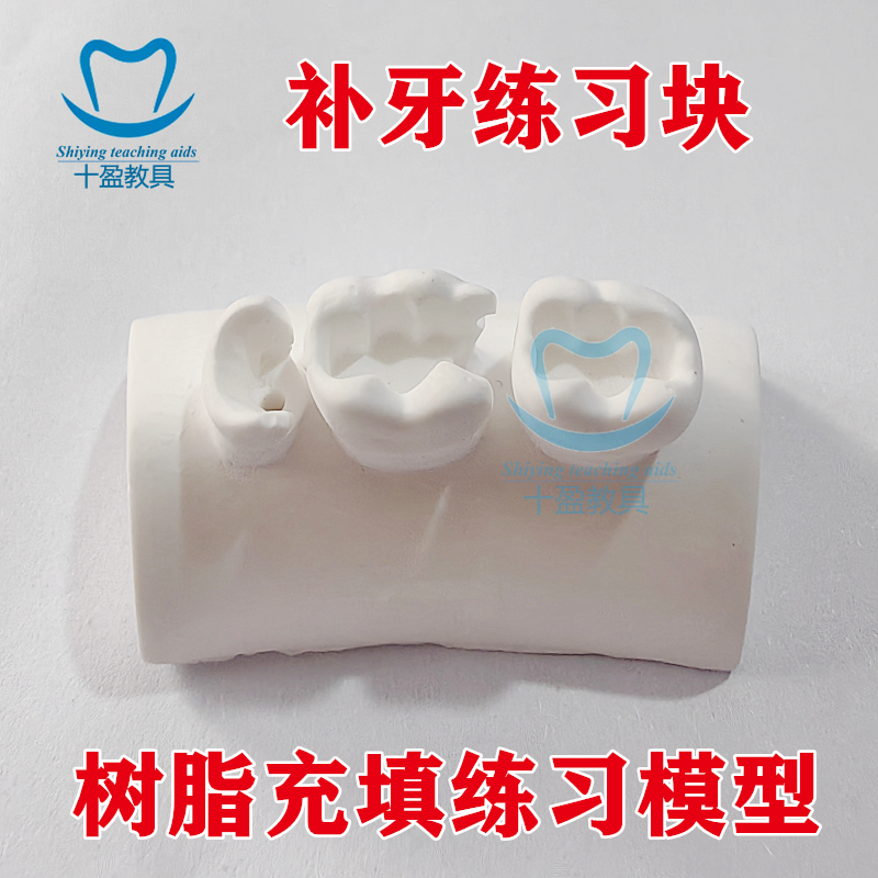 牙科口腔补牙模型牙科练习树脂块儿练习补牙根管填充嵌体三颗牙练