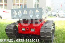 Customized version of the cargo climbing robot