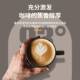 Rooma Coffee Machine A10S Fully Automatic Touch Screen Home Commercial American Espresso Coffee Machine Office