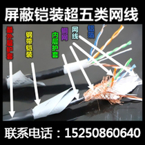 Household network cable outdoor waterproof armored network cable anti-old rat bite can be buried directly underground very strong