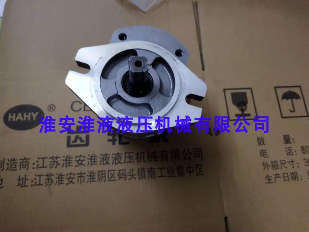 CBK1004 1008 1010 1012 1016 1020 1025 B2TR rectangular flower bond gear pump