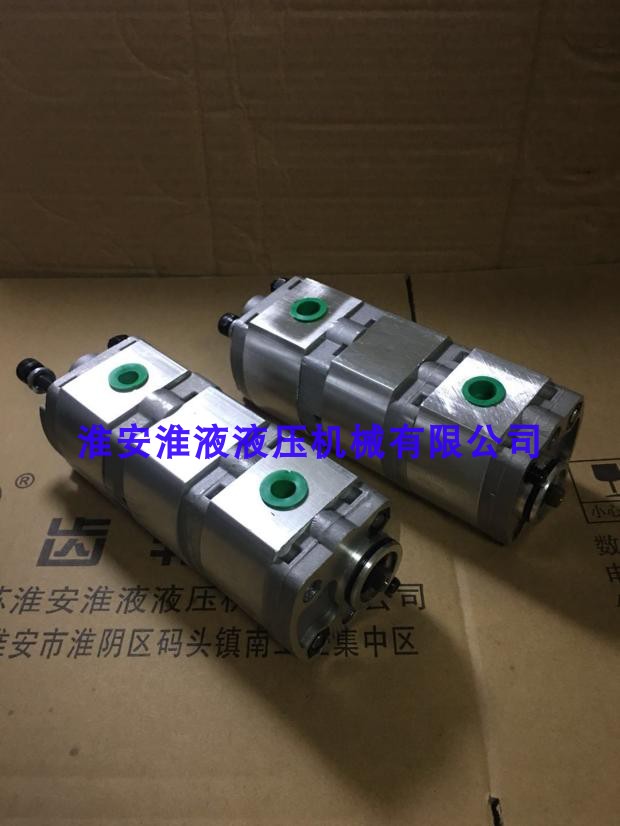 CBK - F1 0 F1 0 0 and other displacement aluminum alloy double gear pump is ordered