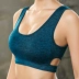 Fanjie Yoga Fitness Đồ lót thể thao cường độ cao Phụ nữ chống sốc Chạy tập hợp Sốc hấp thụ kiểu dáng Vest Bra áo lót thể thao Đồ lót thể thao