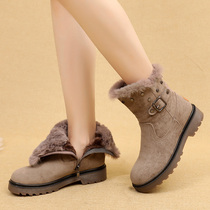 2020 new winter snow boots female thick warm waterproof non-slip middle-aged woman mother cotton shoes plus Velvet